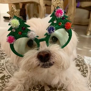 Meet your Posher, Karin